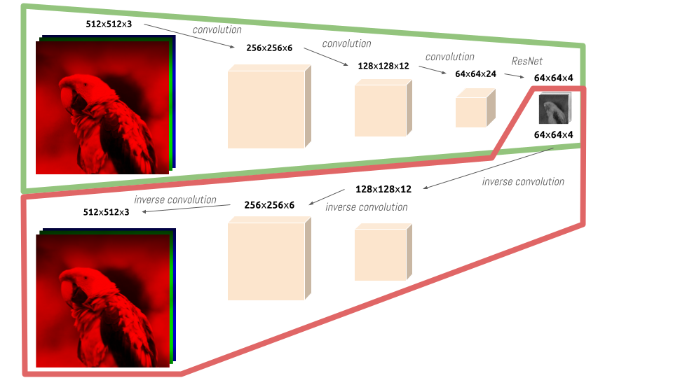 The encoder (highlighted in green) and the decoder (highlighted in red) of the autoencoder