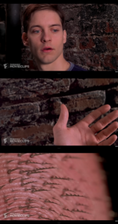 Peter Parker realizes he’s Spider-Man (2002)